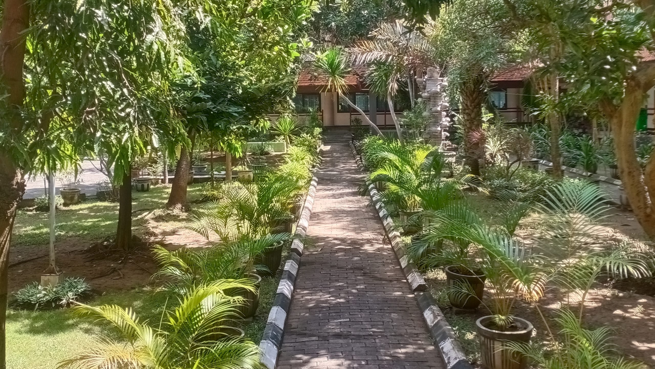 Kebersihan & Kesehatan Lingkungan